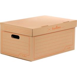 Paquet de 5 containers d'archivage résistants