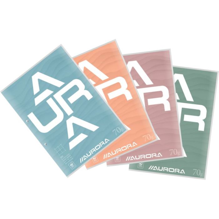 Bloc de cours 200 pages perforées format A4, quadrillé 10x10mm Blocs a feuillets mobiles