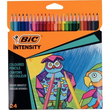 Étui de 24 crayons de couleur color up