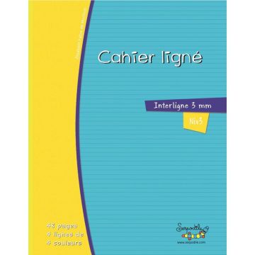 Cahier DYS format A4, 46 pages interligne 3 mm
