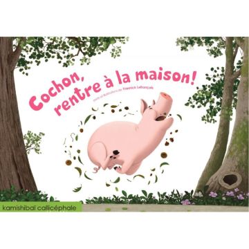 Conte Kamishibaï, Cochon rentre à la maison