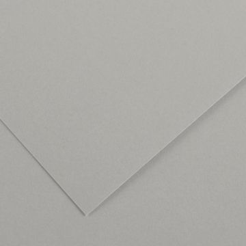 Paquet de 10 feuilles Colorline 50x65 cm 150 g gris clair