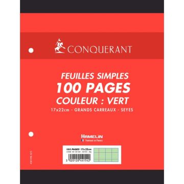 Sachet de 50 feuillets mobiles 17x22 cm seyès 80g, vert