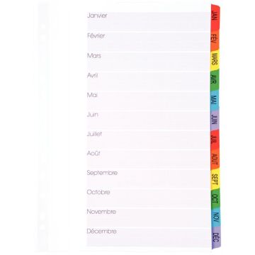 Jeu de 12 intercalaires mensuels en carte Mylar, format A4+