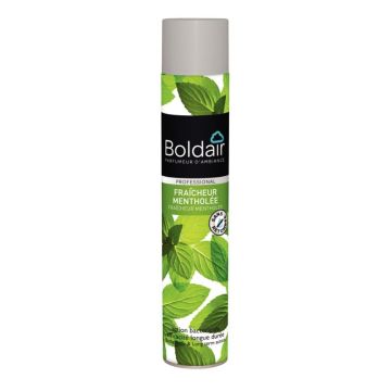 Aérosol 500ml désodorisant bactéricide menthe