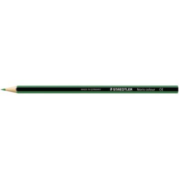 Etui de 12 crayons de couleur Noris Colour vert foncé