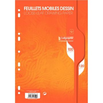 Sachet 50 feuillets mobiles dessin (100 pages) format 21x29,7 cm 120g uni blanc