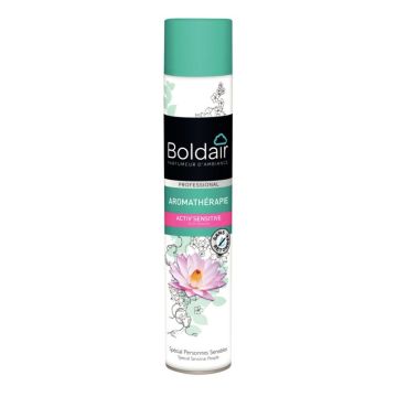 Aérosol 500ml désodorisant aromathérapie patchouli
