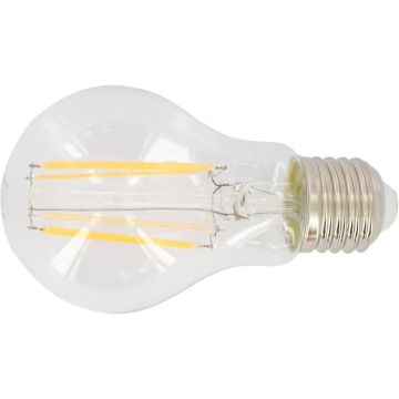 Ampoule LED standard E27 6 watts