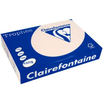 Paquet de 250 feuilles format A3 160g saumon CLAIREFONTAINE