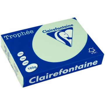 Paquet de 250 feuilles format A3 160g vert CLAIREFONTAINE