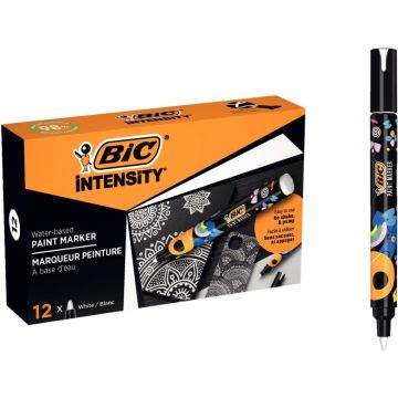 Boîte de 12 marqueurs peinture Intensity blancs