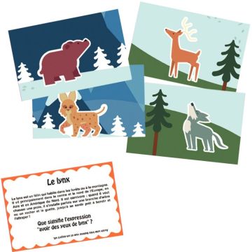 Lot 180 grandes images animaux