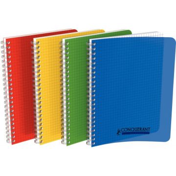 Cahier à reliure intégrale couverture polypropylène, 100 pages format A4 5x5, coloris assortis