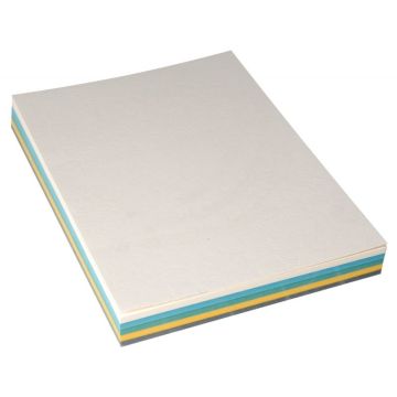 Paquet de 100 couvertures grain cuir 250g A4 coloris assortis