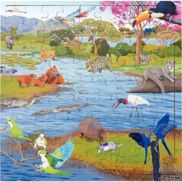 Puzzle de 81 pièces en bois, zone humide