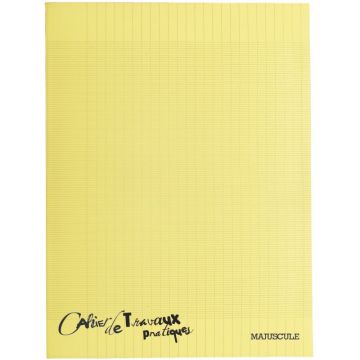 Cahier de travaux pratiques, piqûre 96 pages (48 pages seyès 90g + 48 pages dessin) 24x32 cm couverture en polypropylène
