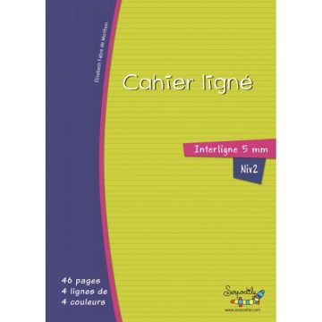 Cahier DYS format 17x22 cm, 46 pages interligne 5 mm