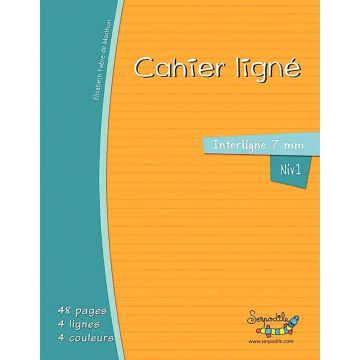 Cahier DYS format 17x22 cm, 46 pages interligne 7 mm