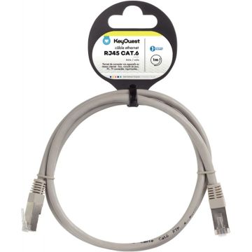 Cable RJ45 de catégorie 6 mâle/mâle 1m gris
