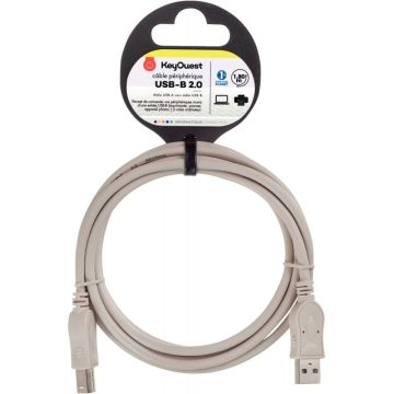 Cordon USB 2.0 mâle/mâle 1,8m gris