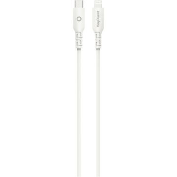 Chargeur secteur + câble USB-C vers Lightning 20W
