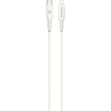 Charge secteur + câble USB C vers C 30W