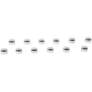 Paquet de 12 aimants diamètre 9 mm, argentés